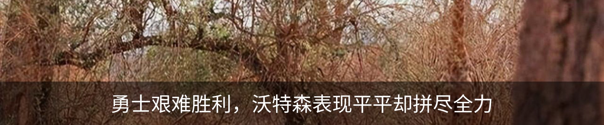 内页banner